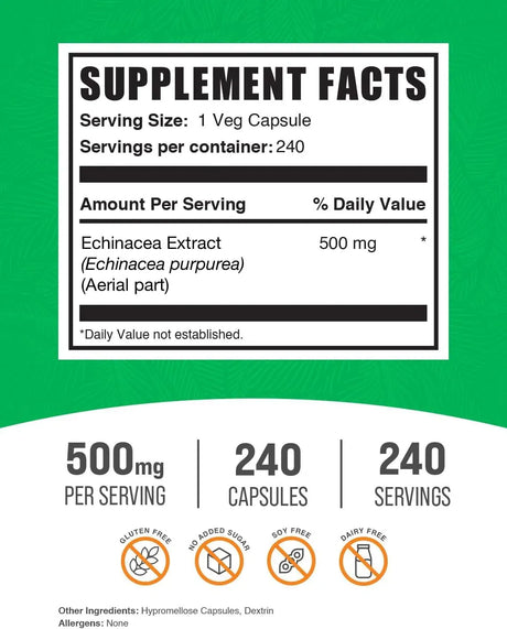 BULK SUPPLEMENTS - Bulk Supplements Echinacea Extract 500Mg. 240 Capsulas - The Red Vitamin MX - Suplementos Alimenticios - {{ shop.shopifyCountryName }}