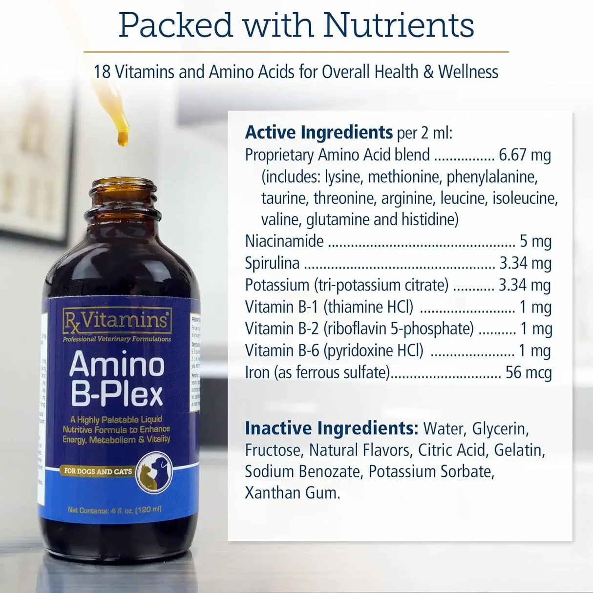 RX VITAMINS - Rx Vitamins Amino B Plex Cat & Dog Supplement 4 Fl.Oz. - The Red Vitamin MX - Medicamentos Sin Receta Para Perros - {{ shop.shopifyCountryName }}