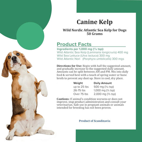 HOLISTIC BIN - Holistic Bin Canine Atlantic Sea Kelp for Dogs 50Gr. - The Red Vitamin MX - Suplementos Herbales Para Perros - {{ shop.shopifyCountryName }}