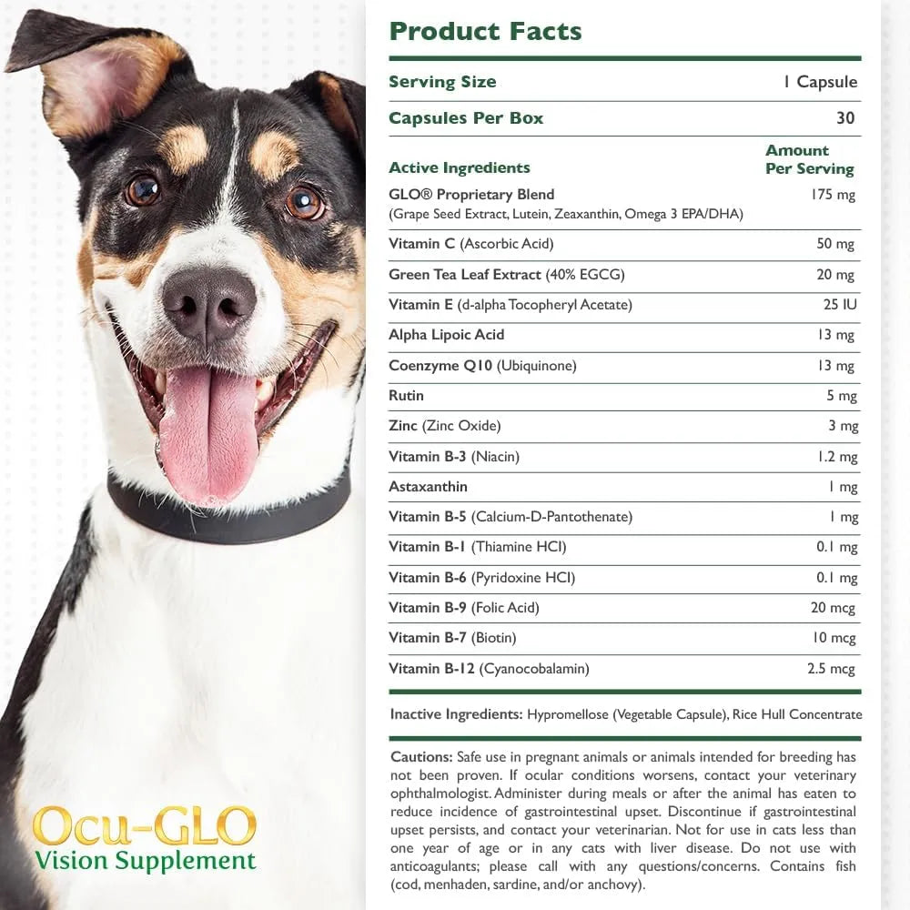OCU-GLO - Ocu-GLO PB Vision Supplement for Small Dogs & Cats 30 Capsulas - The Red Vitamin MX - Cuidado De Los Ojos De Los Perros - {{ shop.shopifyCountryName }}