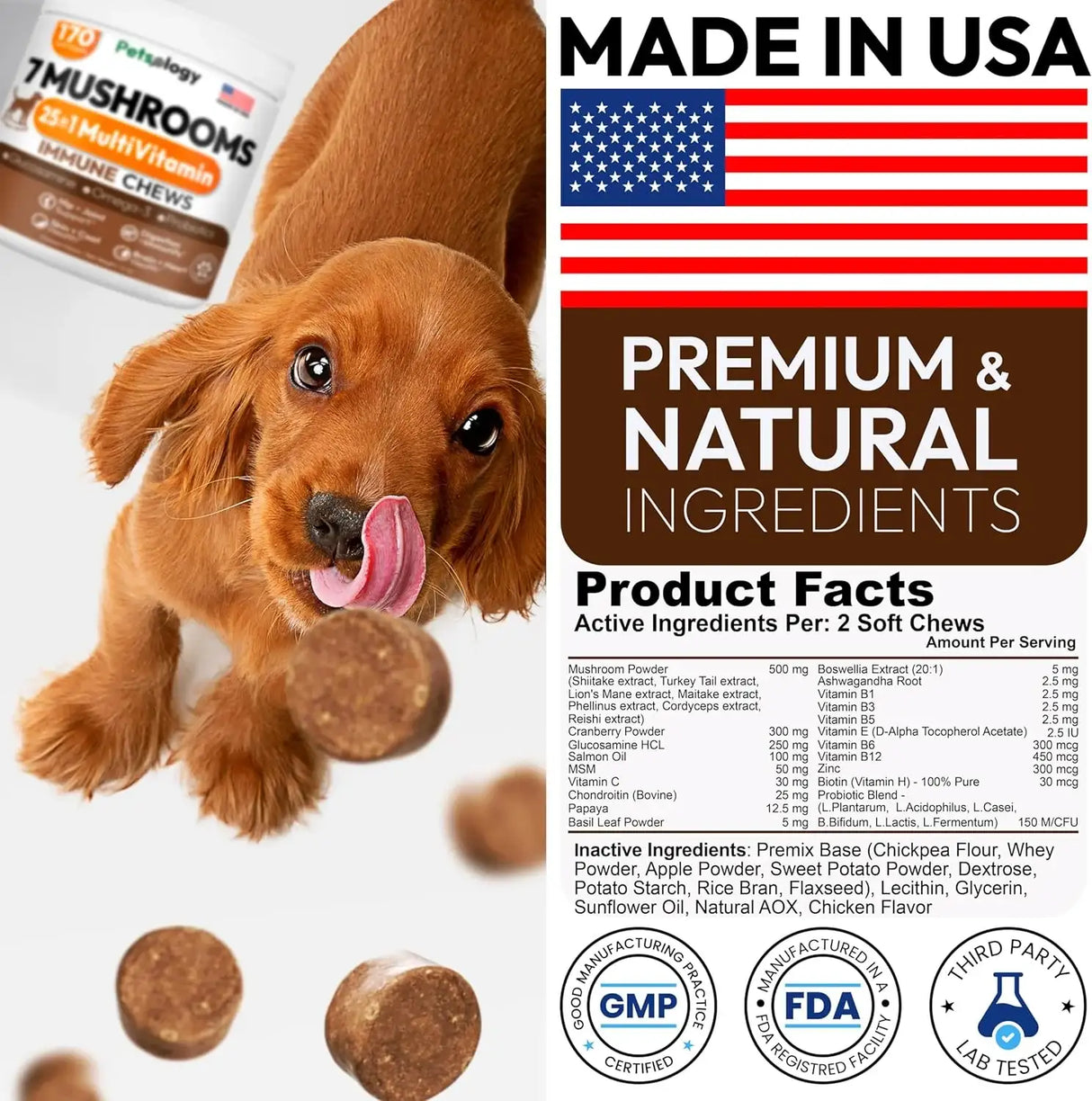 PETSOLOGY - Petsology Multivitamin Mushrooms for Dogs 170 Masticables - The Red Vitamin MX - Multivitamínicos Para Perros - {{ shop.shopifyCountryName }}
