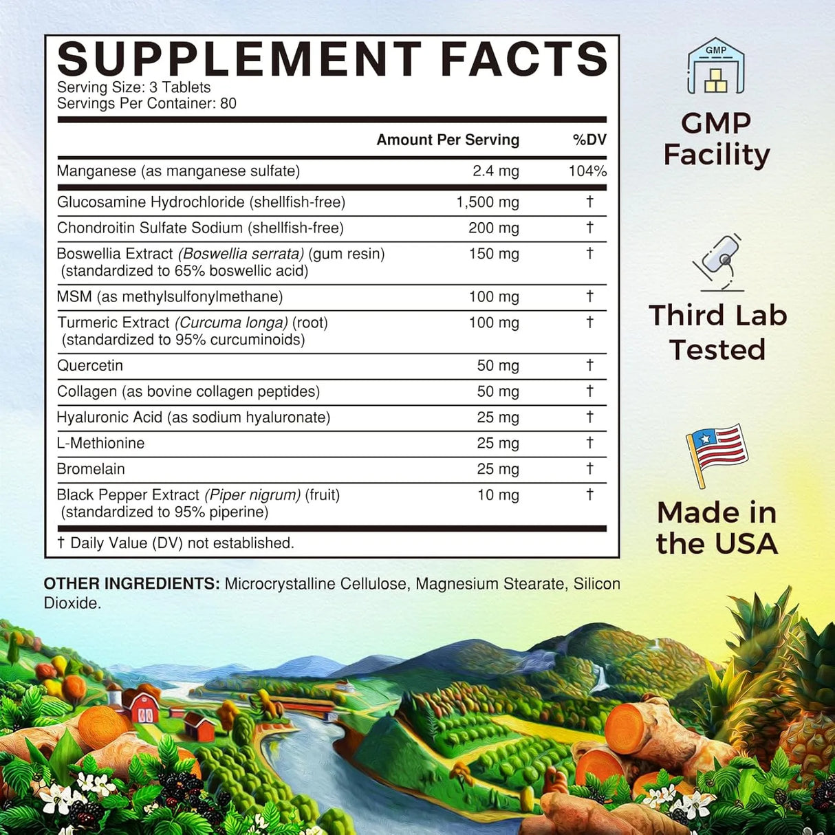 VITALITOWN - Vitalitown Glucosamine Chondroitin MSM 240 Tabletas - The Red Vitamin MX - Suplementos Alimenticios - {{ shop.shopifyCountryName }}