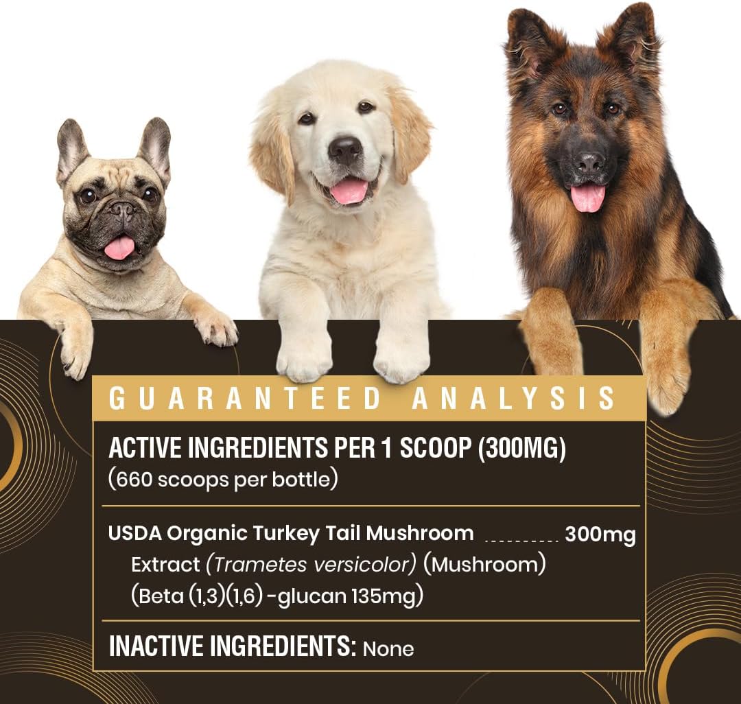 SPECIAL BREED - Special Breed Organic Turkey Tail Mushroom for Dogs 200Gr. - The Red Vitamin MX - Suplementos Herbales Para Perros - {{ shop.shopifyCountryName }}