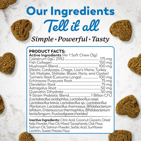 DR. HARVEY'S - Dr. Harvey's Dog Allergy & Anti-Itch Relief Soft Chew 90 Masticables - The Red Vitamin MX - Suplementos Herbales Para Perros - {{ shop.shopifyCountryName }}