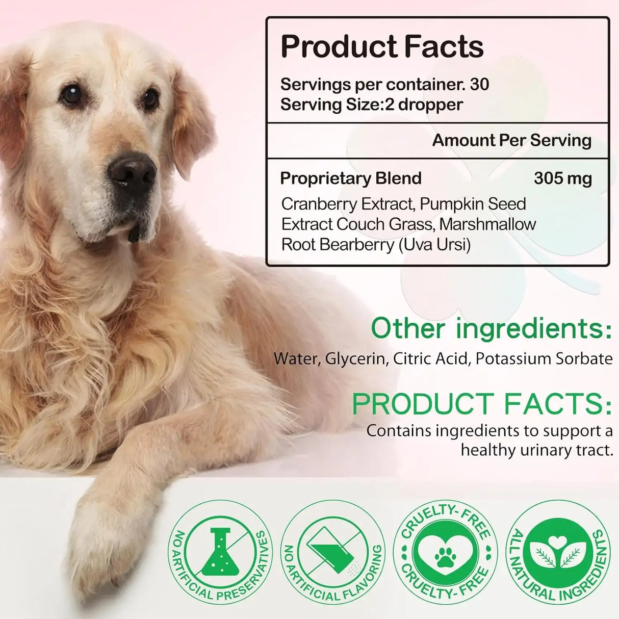 OIMMAL - Oimmal Urinary Tract for Dogs 2 Fl.Oz. - The Red Vitamin MX - Salud De Tracto Urinario Para Perros - {{ shop.shopifyCountryName }}