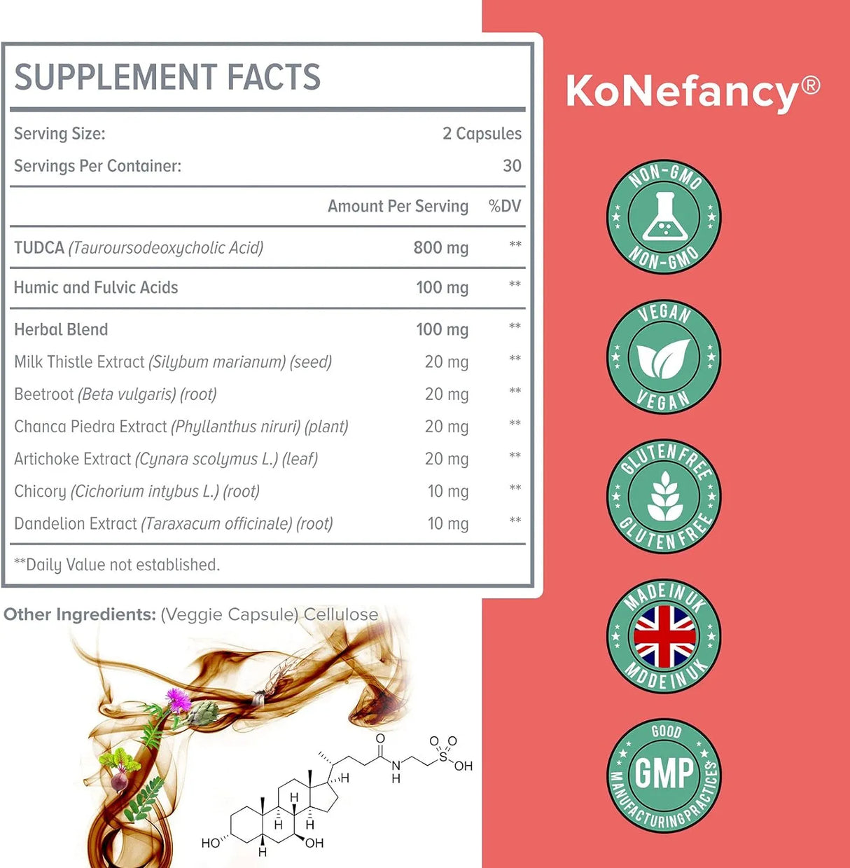 KONEFANCY - KoNefancy TUDCA Liver 1000Mg. 60 Capsulas 2 Pack - The Red Vitamin MX - Suplementos Alimenticios - {{ shop.shopifyCountryName }}