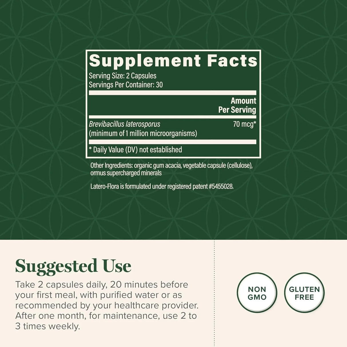 GLOBAL HEALING CENTER - Global Healing Latero-Flora Probiotic 60 Capsulas - The Red Vitamin MX - Suplementos Alimenticios - {{ shop.shopifyCountryName }}