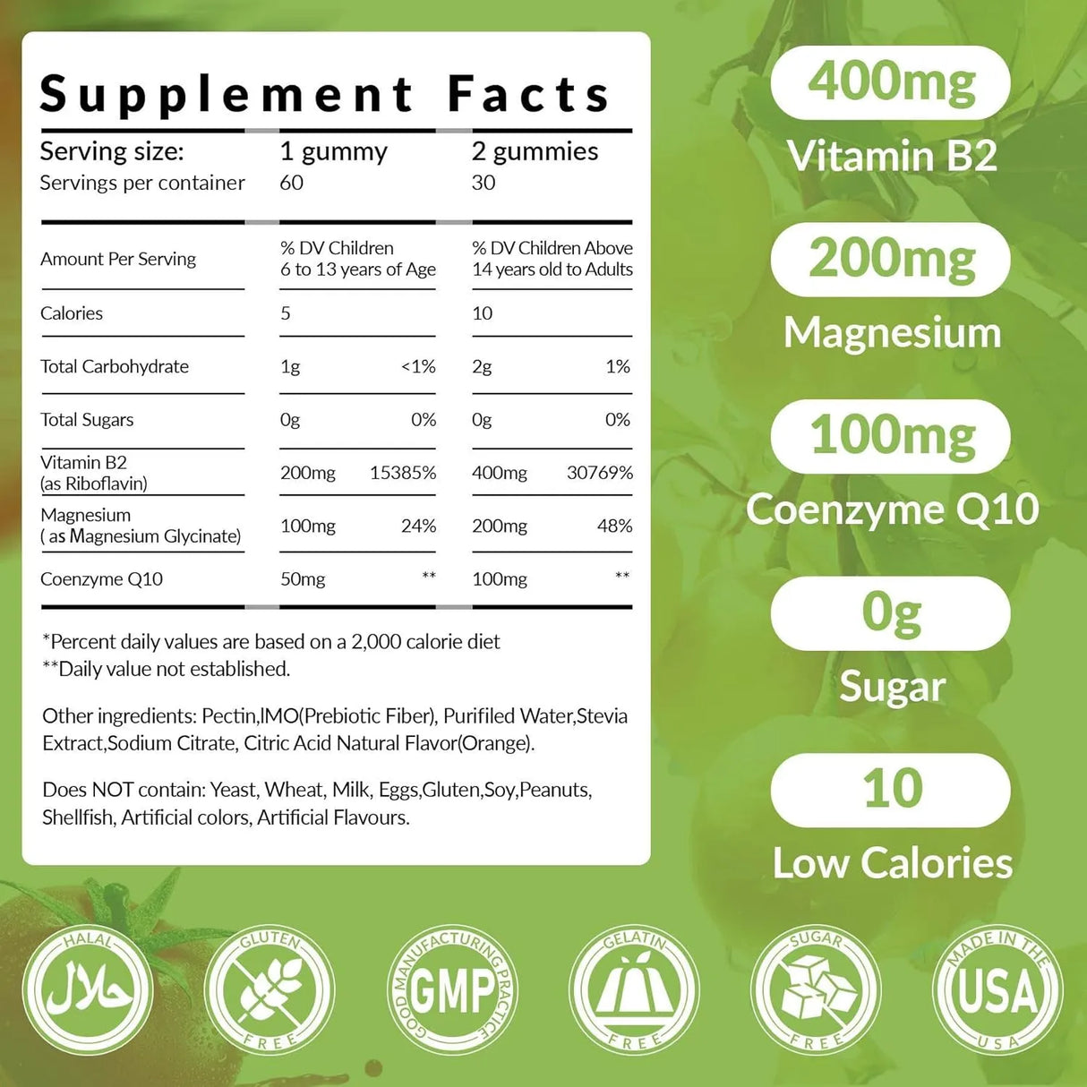 NUTRIBOTA - Nutribota Sugar Free Vitamin B2 Gummies 400Mg. 60 Gomitas - The Red Vitamin MX - Suplementos Alimenticios - {{ shop.shopifyCountryName }}