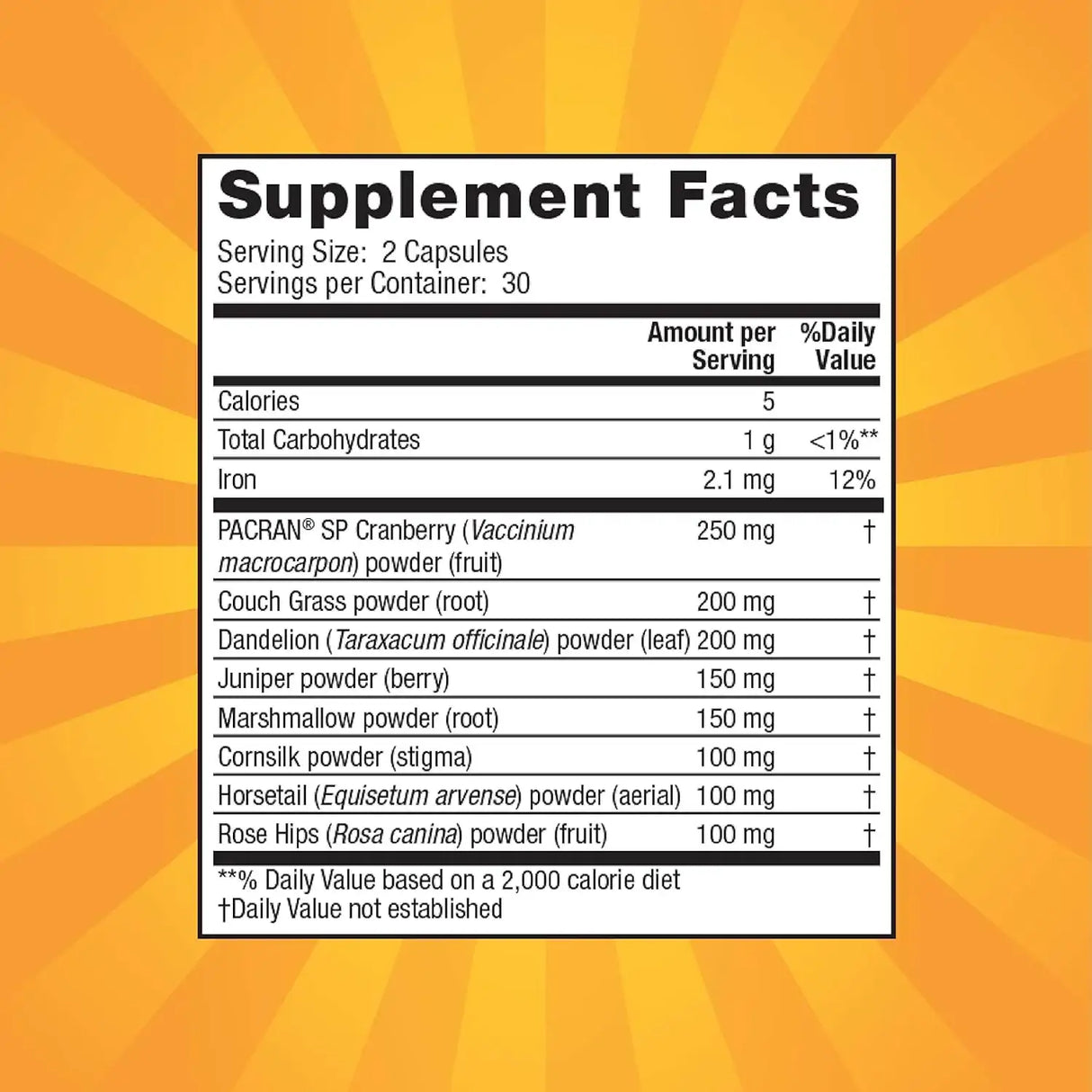 NATURE'S SECRET - Nature's Secret Urinary Flush & Support with Cranberry 60 Capsulas - The Red Vitamin MX - Suplementos Alimenticios - {{ shop.shopifyCountryName }}