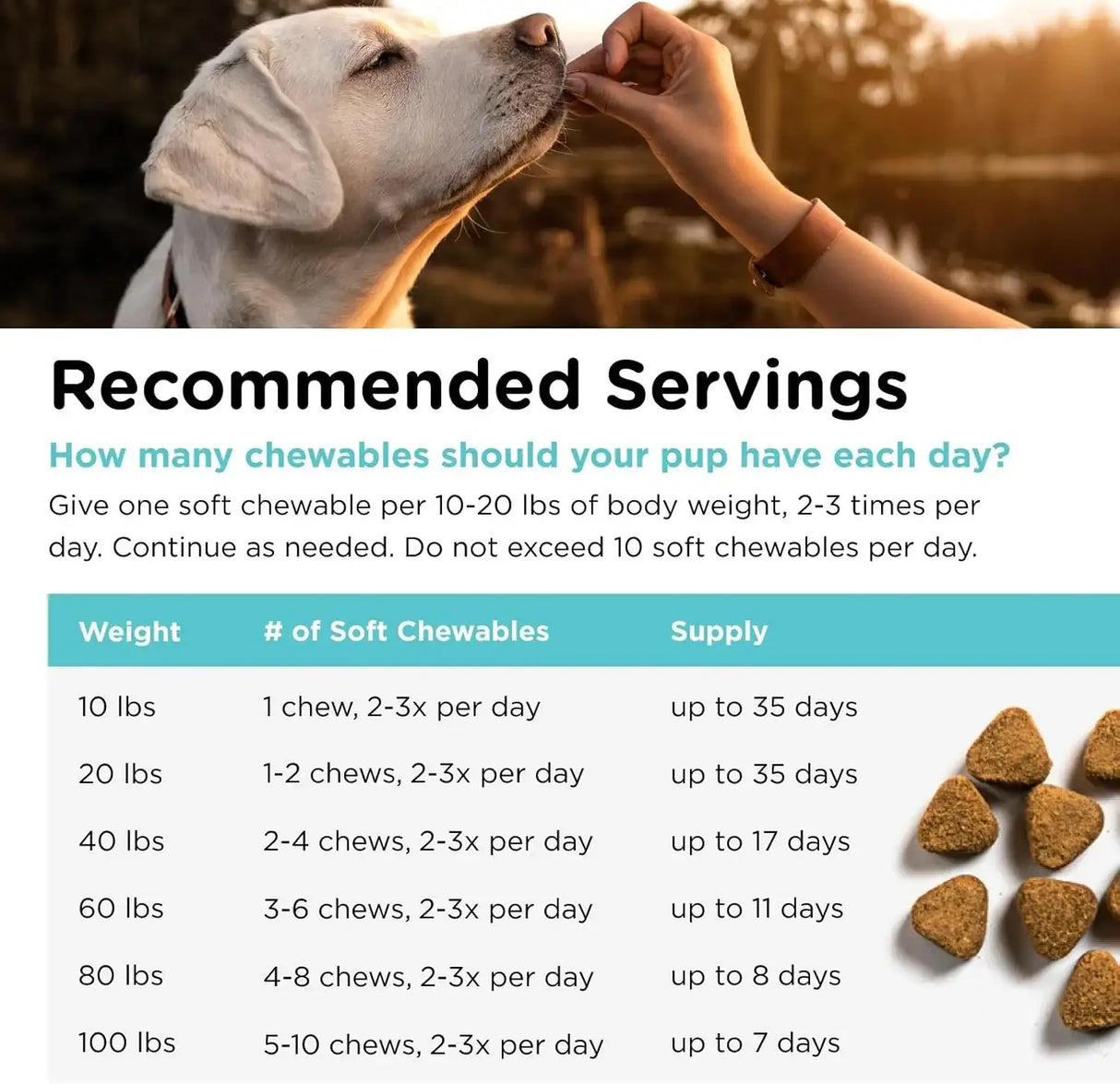 NUTRI-VET - Nutri-Vet Pet-Ease Soft Chews for Dogs 170Gr. - The Red Vitamin MX - Relajantes Para Perros - {{ shop.shopifyCountryName }}