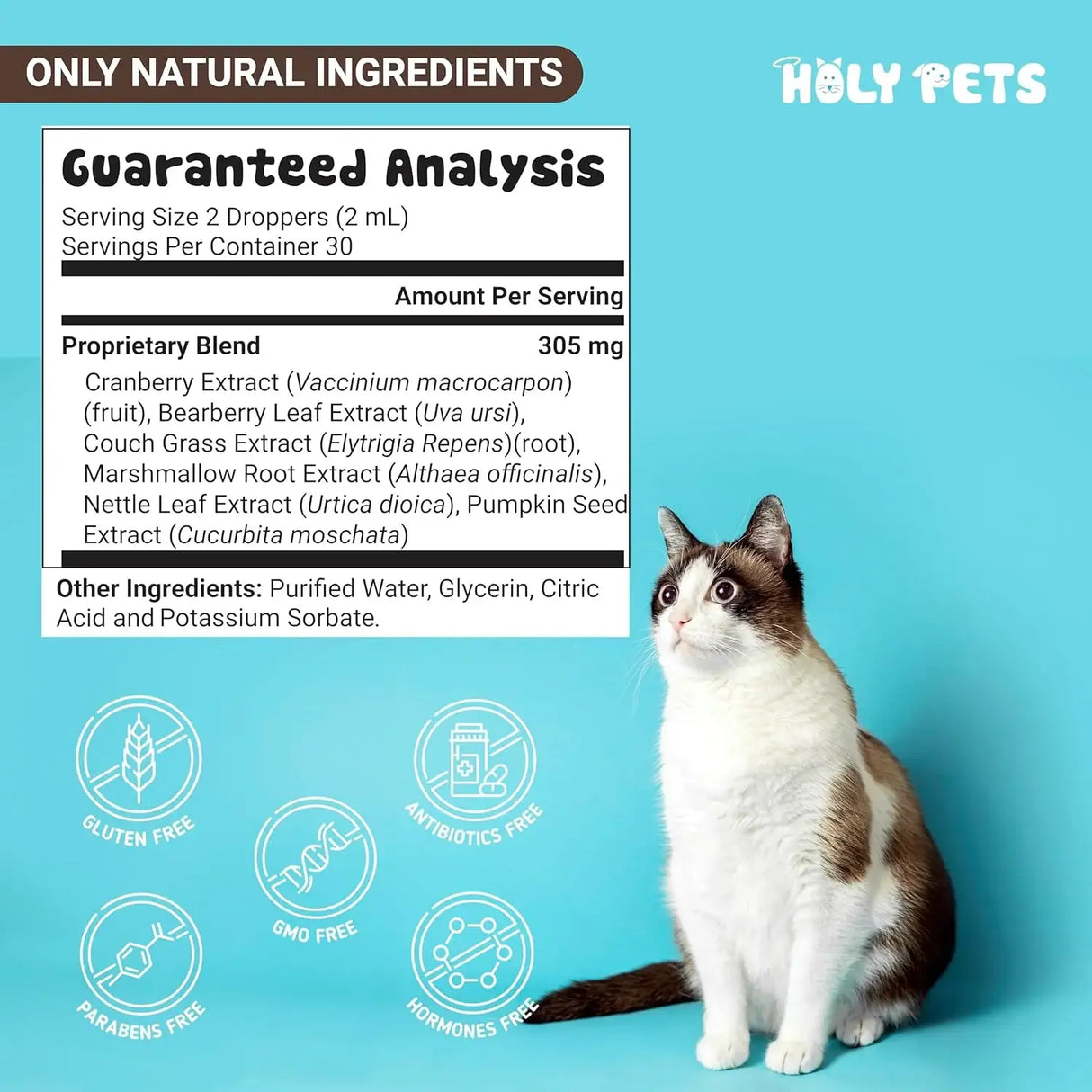 HOLY PETS - Holy Pets Natural UTI Medicine for Cats & Dogs 2 Fl.Oz. - The Red Vitamin MX - Salud De Tracto Urinario Para Perros - {{ shop.shopifyCountryName }}