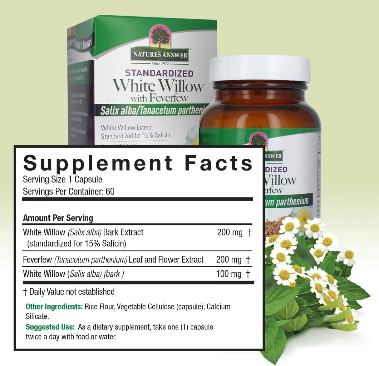 NATURE´S ANSWER - Nature's Answer White Willow with Feverfew 500Mg. 60 Capsulas - The Red Vitamin MX - Suplementos Alimenticios - {{ shop.shopifyCountryName }}