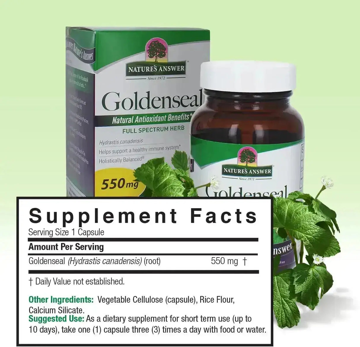 NATURE´S ANSWER - Nature's Answer Goldenseal Root 550Mg. 50 Capsulas - The Red Vitamin MX - Suplementos Alimenticios - {{ shop.shopifyCountryName }}