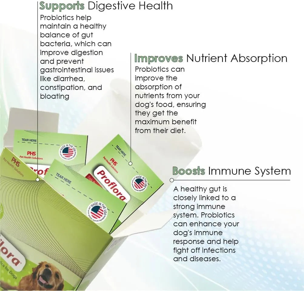 PROFLORA - Proflora Probiotics for Dogs 30 Paquetes - The Red Vitamin MX - Probióticos Para Perros - {{ shop.shopifyCountryName }}