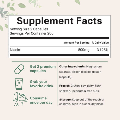 MICRO INGREDIENTS - Micro Ingredients Niacin 500Mg. 400 Capsulas - The Red Vitamin MX - Suplementos Alimenticios - {{ shop.shopifyCountryName }}