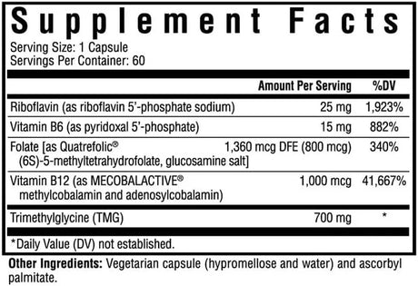SEEKING HEALTH - Seeking Health Homocysteine Nutrients 60 Capsulas - The Red Vitamin MX - Suplementos Alimenticios - {{ shop.shopifyCountryName }}