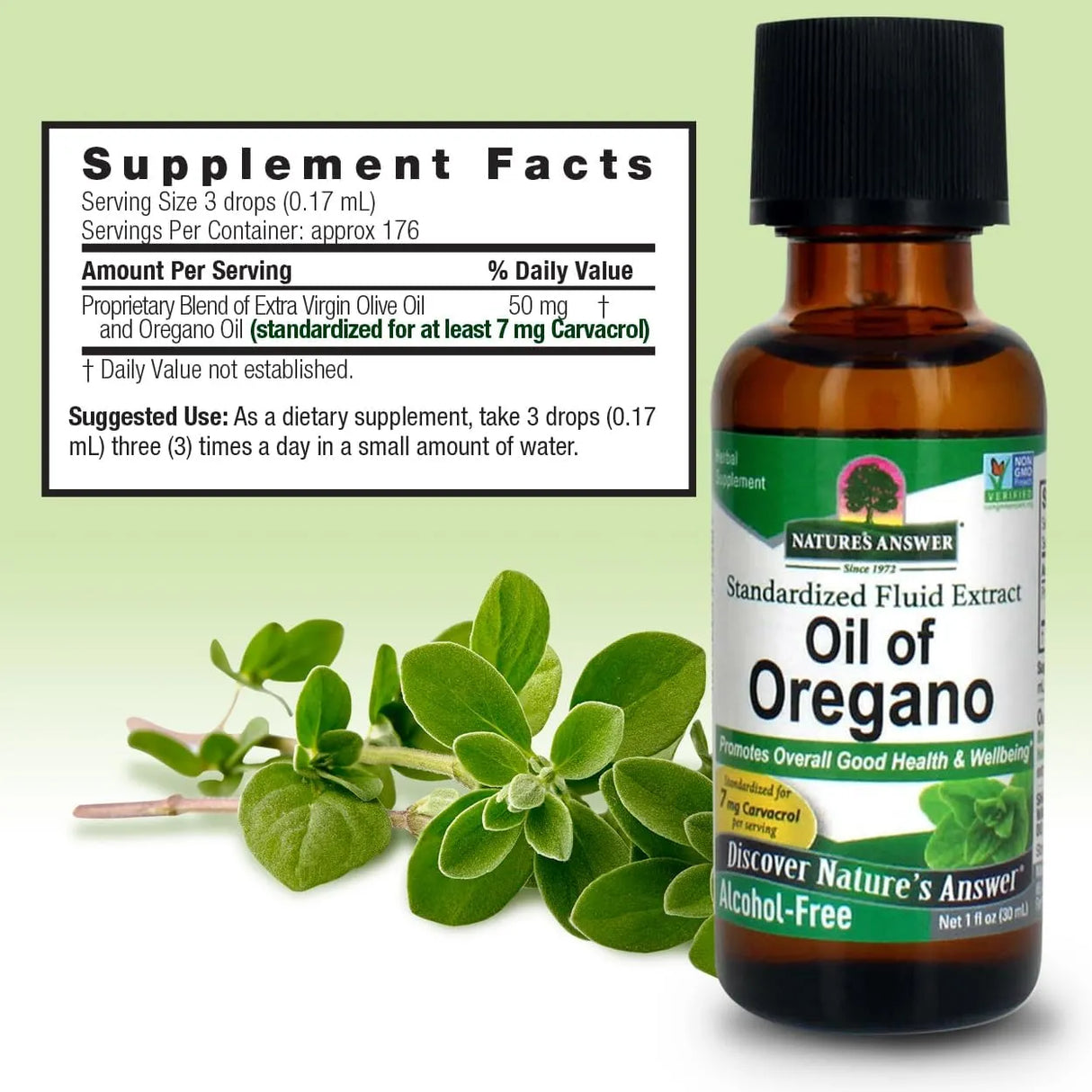 NATURE´S ANSWER - Nature's Answer Oil of Oregano 1 Fl.Oz. - The Red Vitamin MX - Suplementos Alimenticios - {{ shop.shopifyCountryName }}