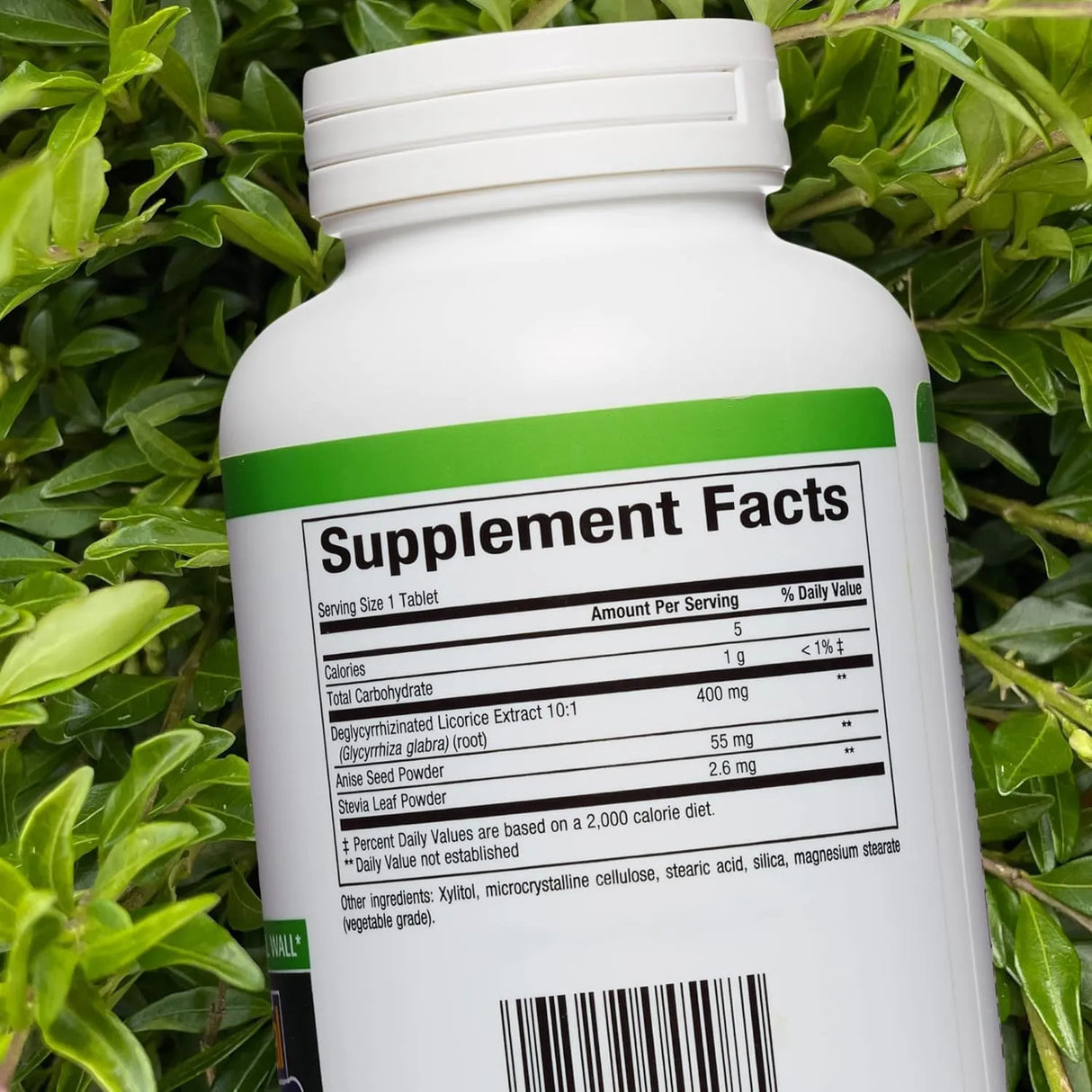 NATURAL FACTORS - Natural Factors Chewable DG 400Mg. Licorice Extract 90 Tabletas Masticables - The Red Vitamin MX - Suplementos Alimenticios - {{ shop.shopifyCountryName }}