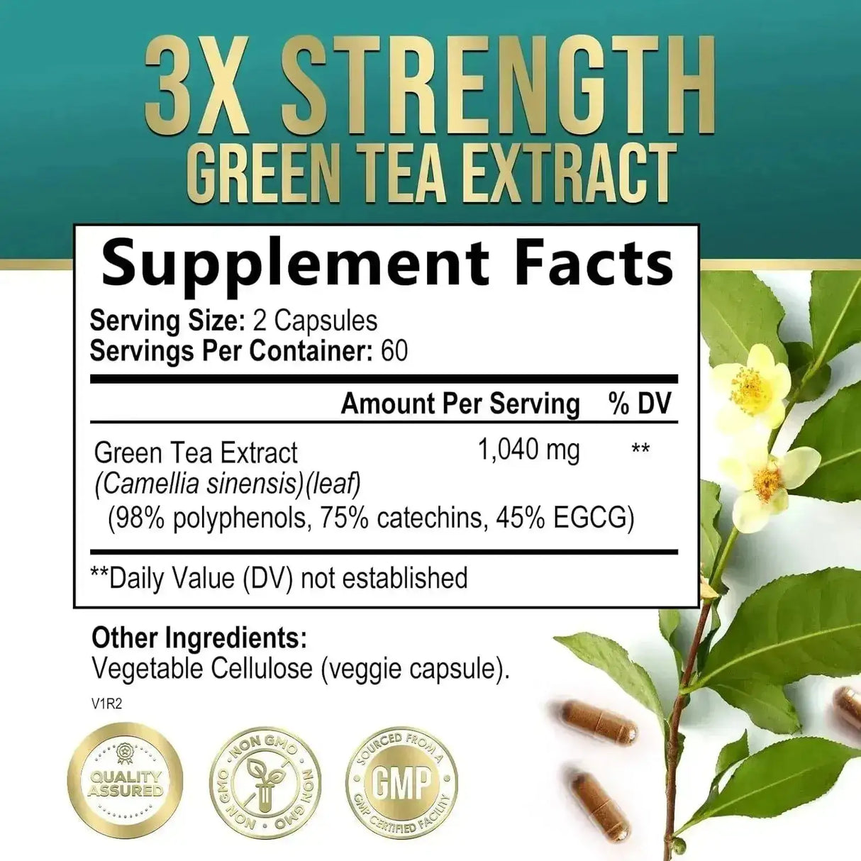 NATURE'S NUTRITION - Nature's Nutrition Green Tea Extract 1040Mg. 120 Capsulas - The Red Vitamin MX - Suplementos Alimenticios - {{ shop.shopifyCountryName }}