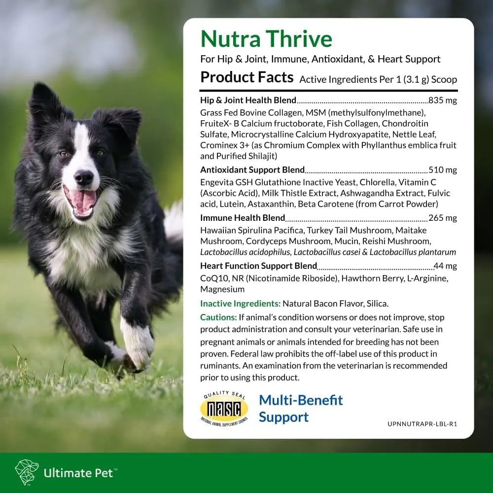 ULTIMATE PET - Ultimate Pet Nutrition Nutra Thrive Canine 40-in-1 Nutritional Powder 30 Servicios 93Gr. - The Red Vitamin MX - Multivitamínicos Para Perros - {{ shop.shopifyCountryName }}