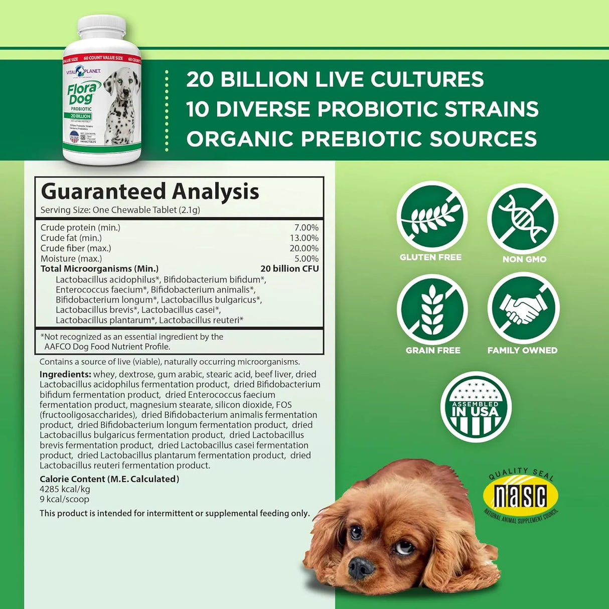 VITAL PLANET - Vital Planet Flora Dog Probiotic Chewable Tablets Beef Flavored 60 Tabletas Masticables - The Red Vitamin MX - Probióticos Para Perros - {{ shop.shopifyCountryName }}