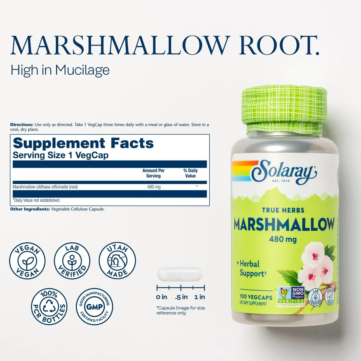 SOLARAY - SOLARAY Marshmallow Root 480Mg. 100 Capsulas - The Red Vitamin MX - Suplementos Alimenticios - {{ shop.shopifyCountryName }}