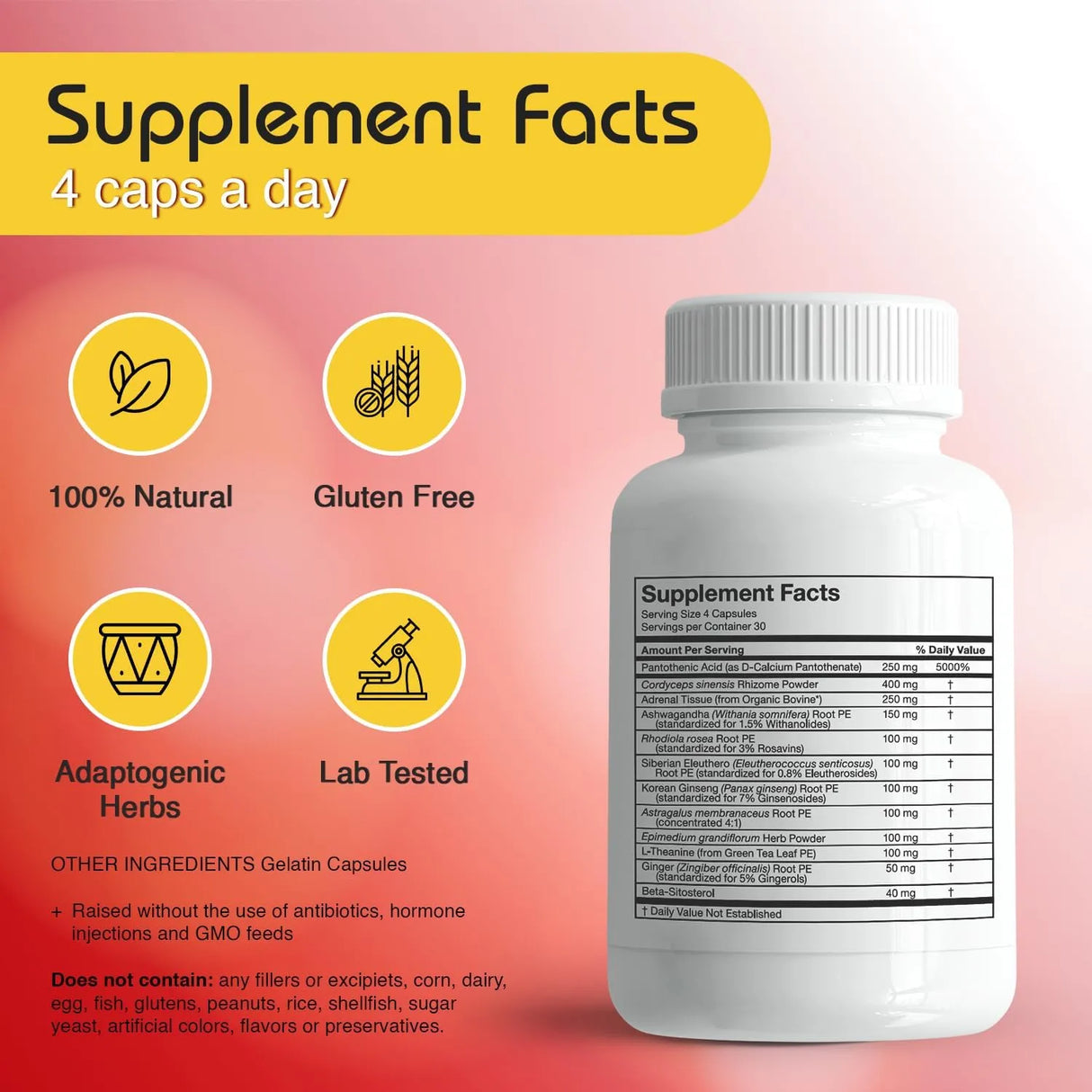 RLC - RLC a-Drenal Support 120 Capsulas - The Red Vitamin MX - Suplementos Alimenticios - {{ shop.shopifyCountryName }}