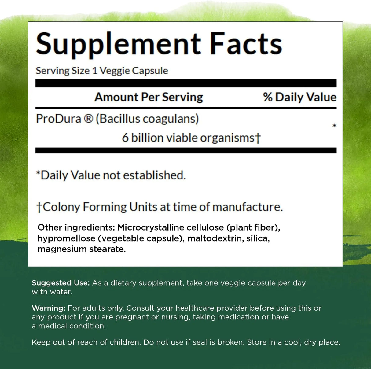 SWANSON - Swanson Bacillus Coagulans 60 Capsulas - The Red Vitamin MX - Suplementos Alimenticios - {{ shop.shopifyCountryName }}