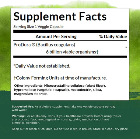 SWANSON - Swanson Bacillus Coagulans 60 Capsulas - The Red Vitamin MX - Suplementos Alimenticios - {{ shop.shopifyCountryName }}