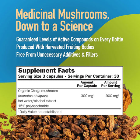 MUSHROOMSCIENCE - MushroomScience Chaga Mushroom 90 Capsulas - The Red Vitamin MX - Suplementos Alimenticios - {{ shop.shopifyCountryName }}