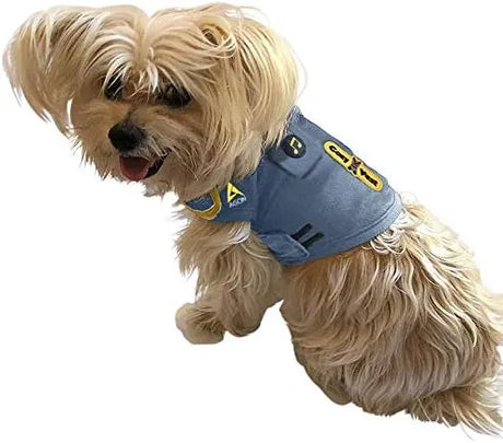 COZYVEST - CozyVest Dog Anxiety Vest 3-in-1 GRAY XS - The Red Vitamin MX - Relajantes Para Perros - {{ shop.shopifyCountryName }}