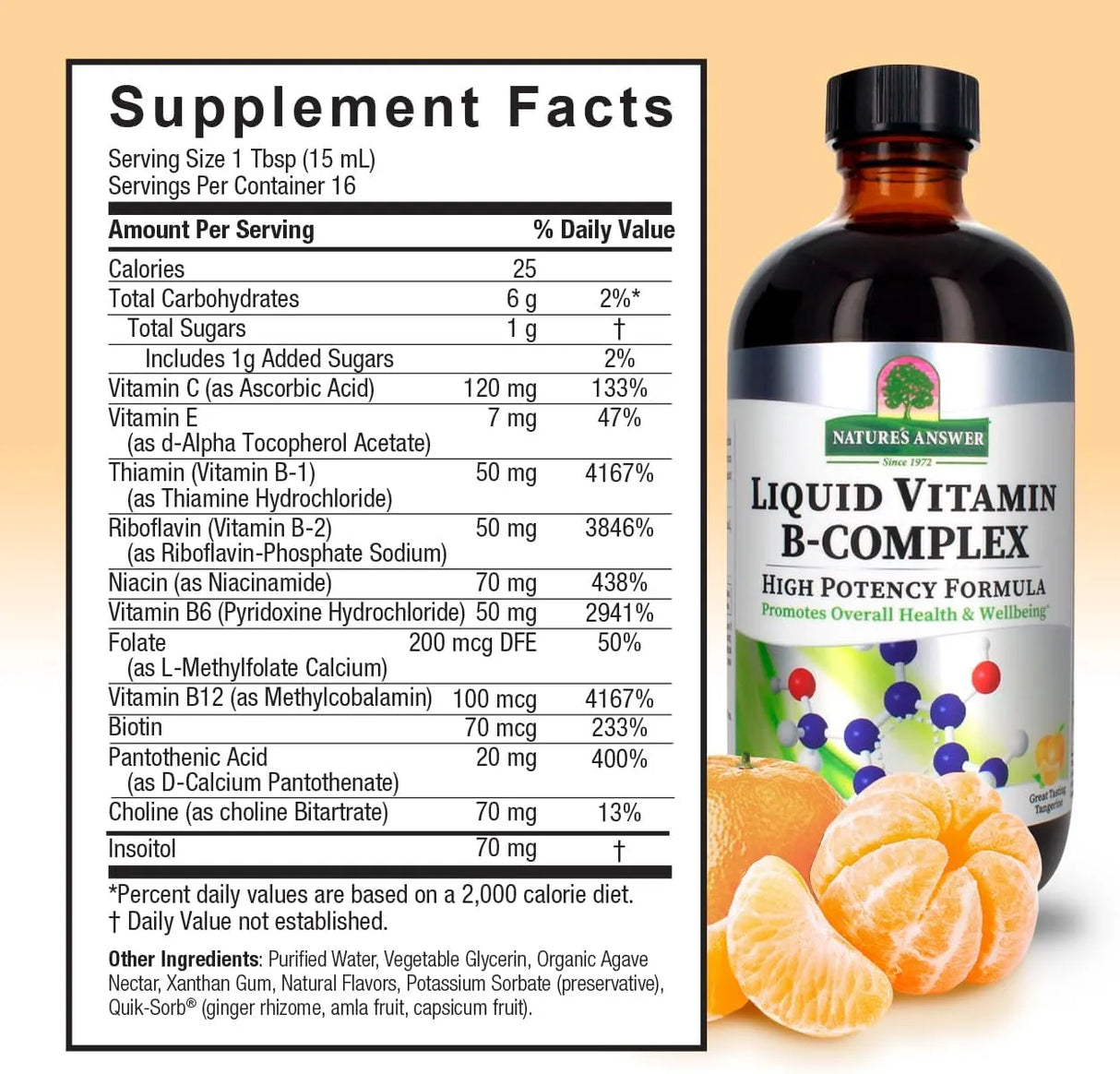 NATURE´S ANSWER - Nature's Answer Liquid Vitamin B-Complex 240Ml. - The Red Vitamin MX - Suplementos Alimenticios - {{ shop.shopifyCountryName }}