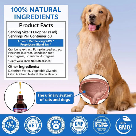 WEALLIN - WEALLIN Cat & Dog Natural Urinary Tract Infection Treatment with Cranberry 2 Fl.Oz. - The Red Vitamin MX - Salud De Tracto Urinario Para Perros - {{ shop.shopifyCountryName }}