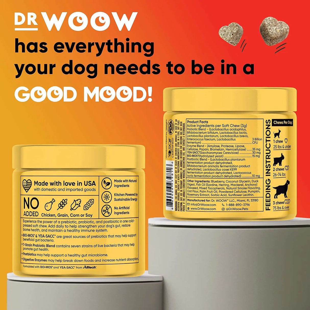 DR WOOW - DR WOOW Probiotics for Dogs 90 Masticables - The Red Vitamin MX - Probióticos Para Perros - {{ shop.shopifyCountryName }}