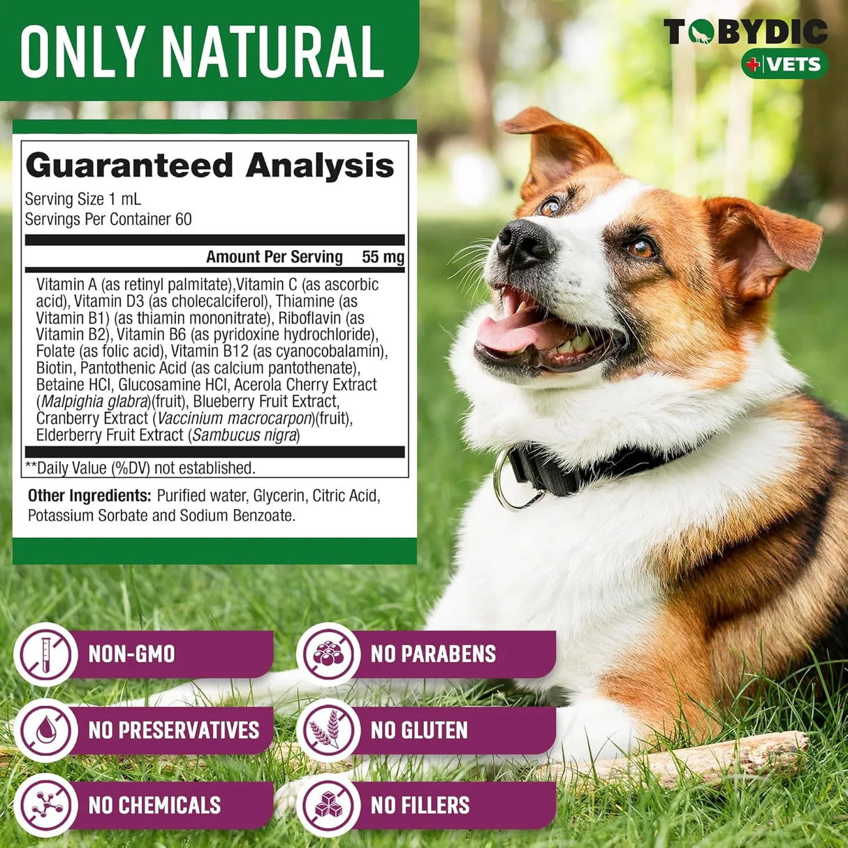 TOBYDIC - TOBYDIC Cat & Dog Multivitamin 2 Fl.Oz. - The Red Vitamin MX - Multivitamínicos Para Perros - {{ shop.shopifyCountryName }}