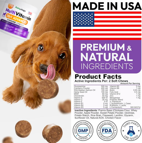 PETSOLOGY - Petsology Dog Multivitamin Chewable 170 Masticables - The Red Vitamin MX - Multivitamínicos Para Perros - {{ shop.shopifyCountryName }}