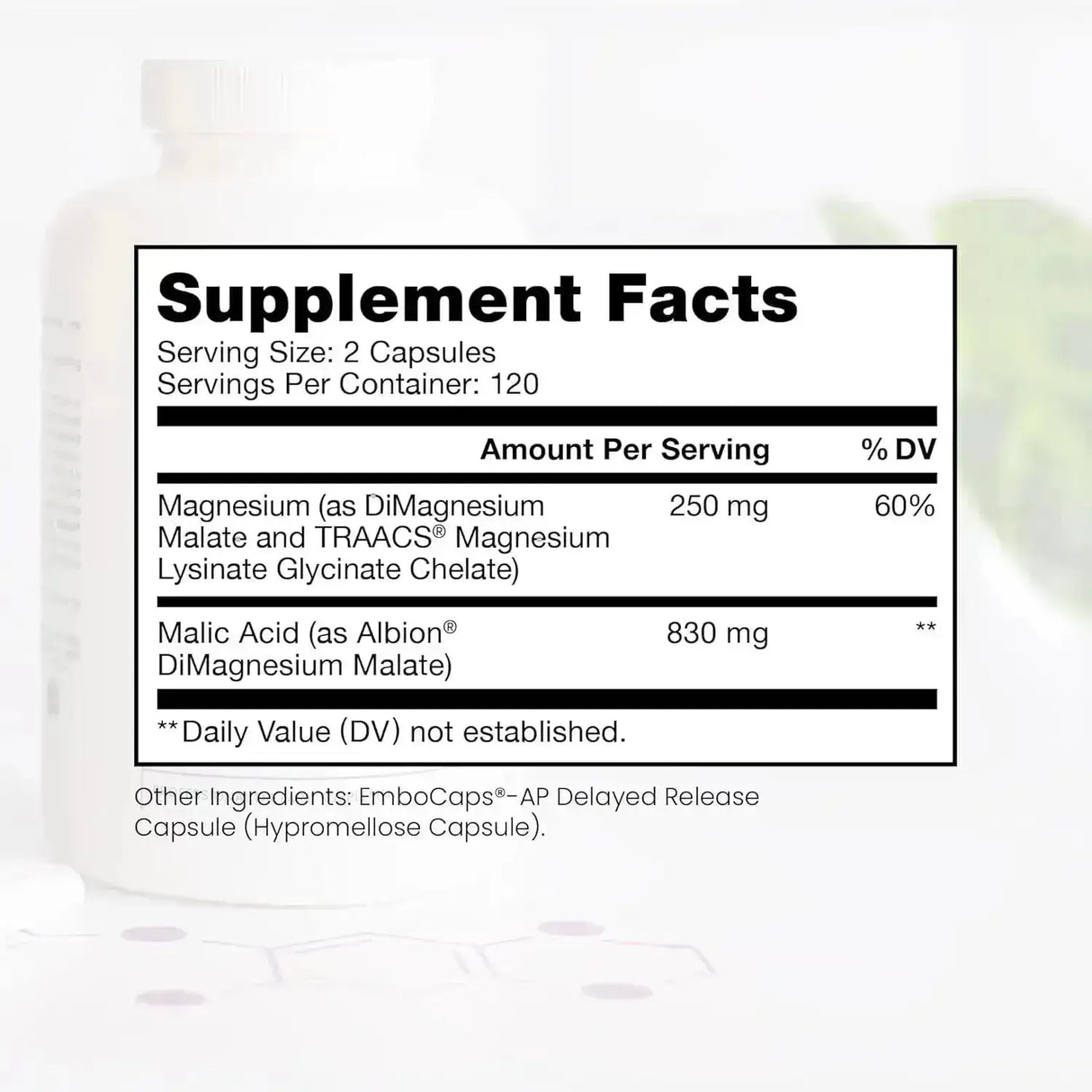 PURE THERAPRO RX - Pure TheraPro Rx Optimum Magnesium 240 Capsulas - The Red Vitamin MX - Suplementos Alimenticios - {{ shop.shopifyCountryName }}