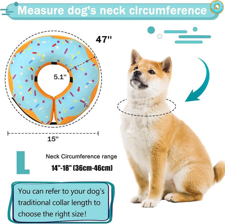 CNEO - Cneo Recovery Donut Collar BLUE LARGE - The Red Vitamin MX - Collares y Conos De Recuperación Para Perros - {{ shop.shopifyCountryName }}