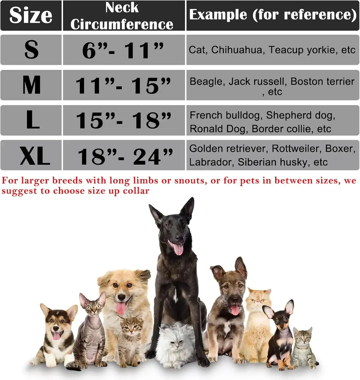 KATOGGY - Katoggy Inflatable Dog Collar DARK GREY EXTRA LARGE - The Red Vitamin MX - Collares y Conos De Recuperación Para Perros - {{ shop.shopifyCountryName }}