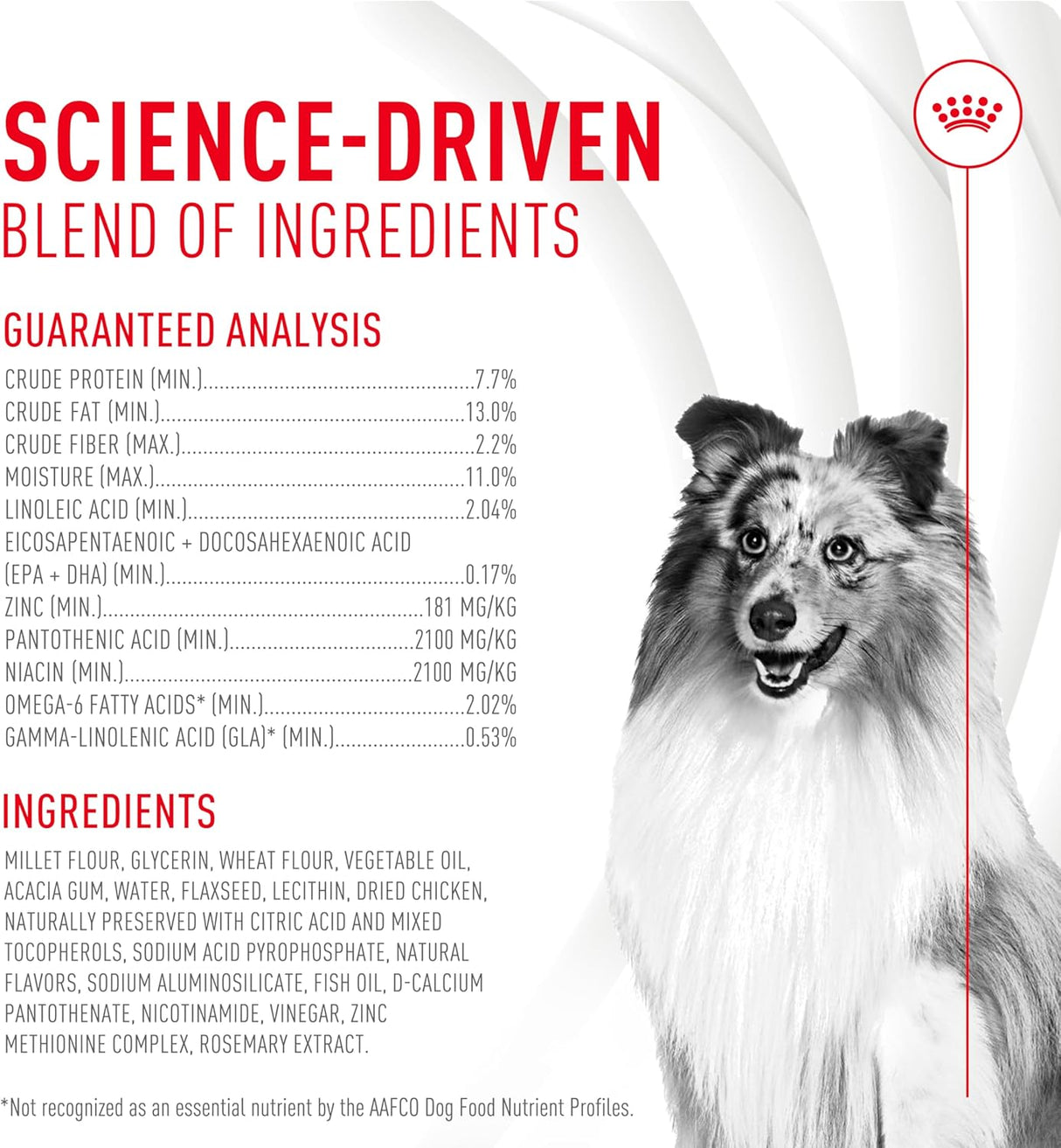 Royal Canin Skin & Coat Supplement Soft Chews for Adult Dogs 60 Masticables