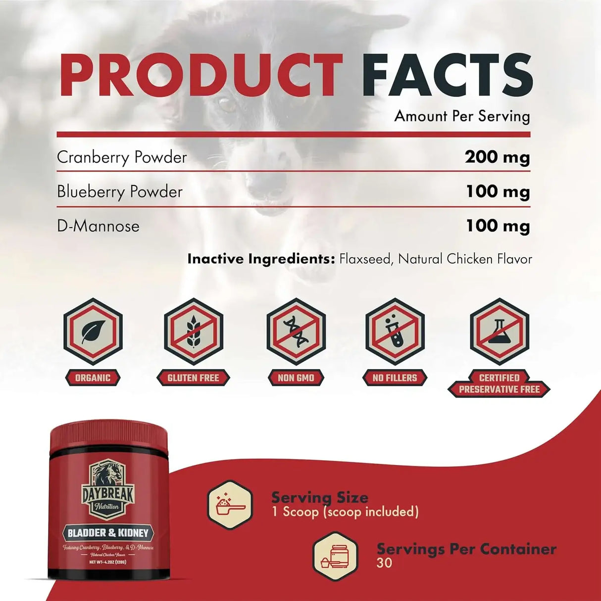 DAYBREAK NUTRITION - Daybreak Nutrition Bladder and Kidney Relief for Dogs & Cats 120Gr. - The Red Vitamin MX - Salud De Tracto Urinario Para Perros - {{ shop.shopifyCountryName }}