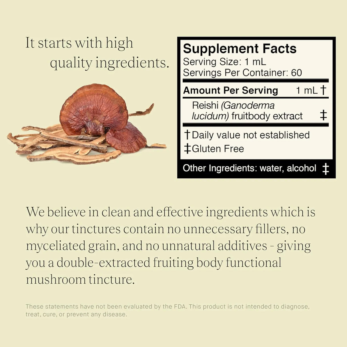 UPHORIC URTH - UPHORIC URTH Reishi Mushroom Extract 2 Fl.Oz. - The Red Vitamin MX - Suplementos Alimenticios - {{ shop.shopifyCountryName }}