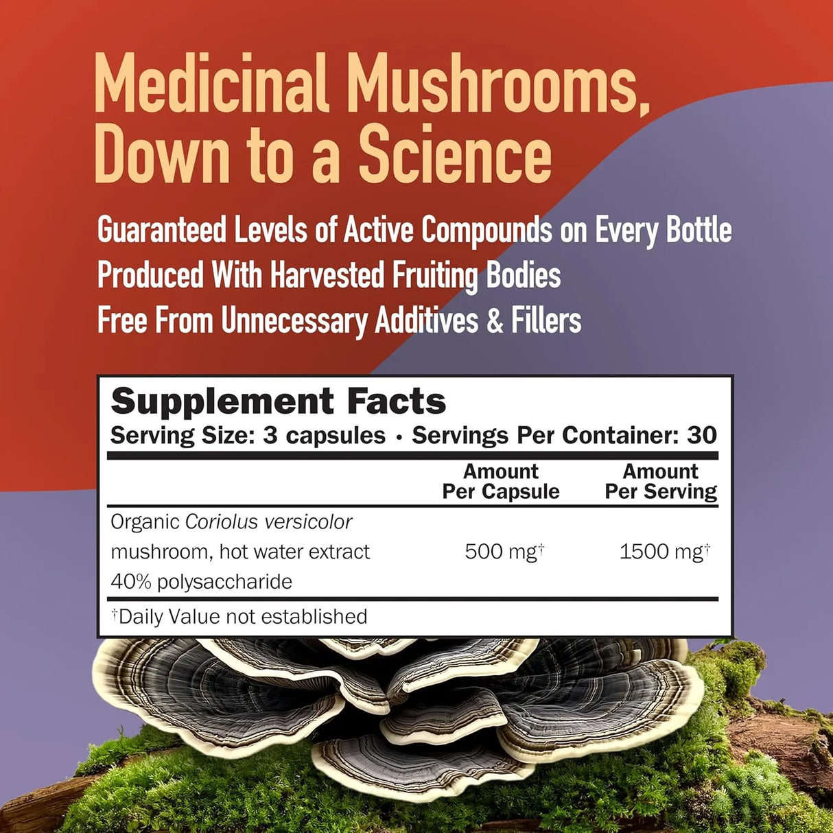 MUSHROOMSCIENCE - MushroomScience Turkey Tail Mushroom 90 Capsulas - The Red Vitamin MX - Suplementos Alimenticios - {{ shop.shopifyCountryName }}