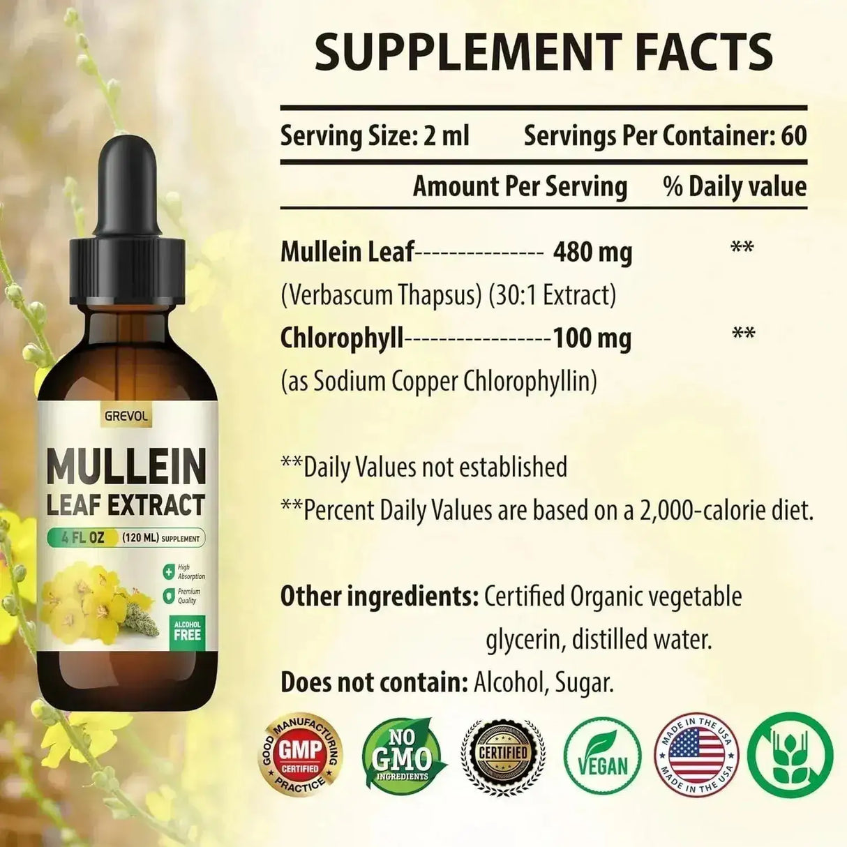 GREVOL - Grevol Mullein Drops for Lungs 4 Fl.Oz. - The Red Vitamin MX - Suplementos Alimenticios - {{ shop.shopifyCountryName }}