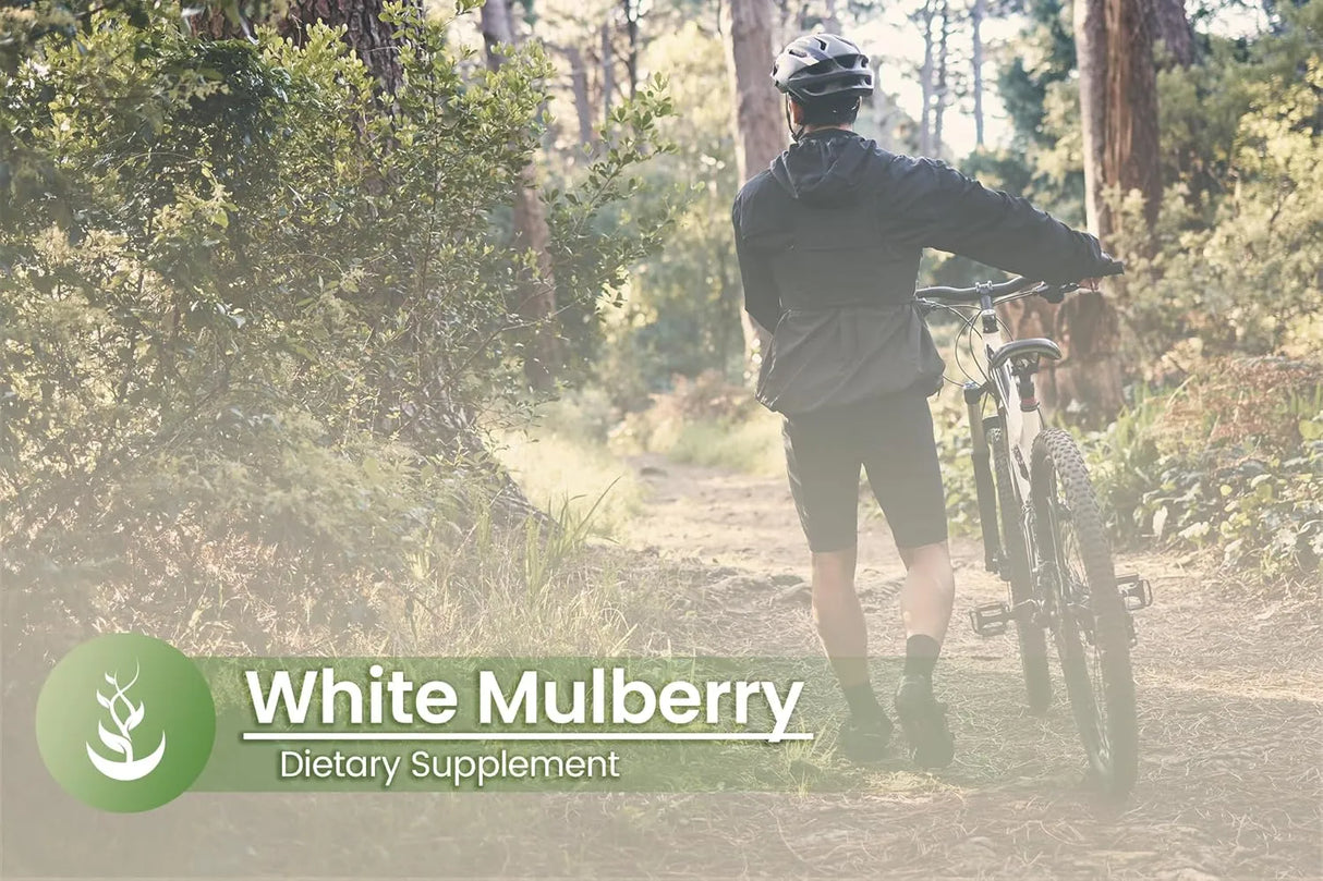 PURE ORIGINAL INGREDIENTS - Pure Original Ingredients White Mulberry Leaf Extract 100 Capsulas - The Red Vitamin MX - Suplementos Alimenticios - {{ shop.shopifyCountryName }}
