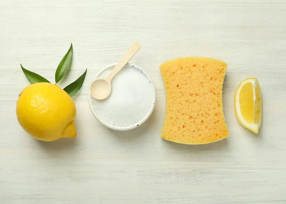 PURE ORIGINAL INGREDIENTS - Pure Original Ingredients Citric Acid 907Gr. - The Red Vitamin MX - Suplementos Alimenticios - {{ shop.shopifyCountryName }}