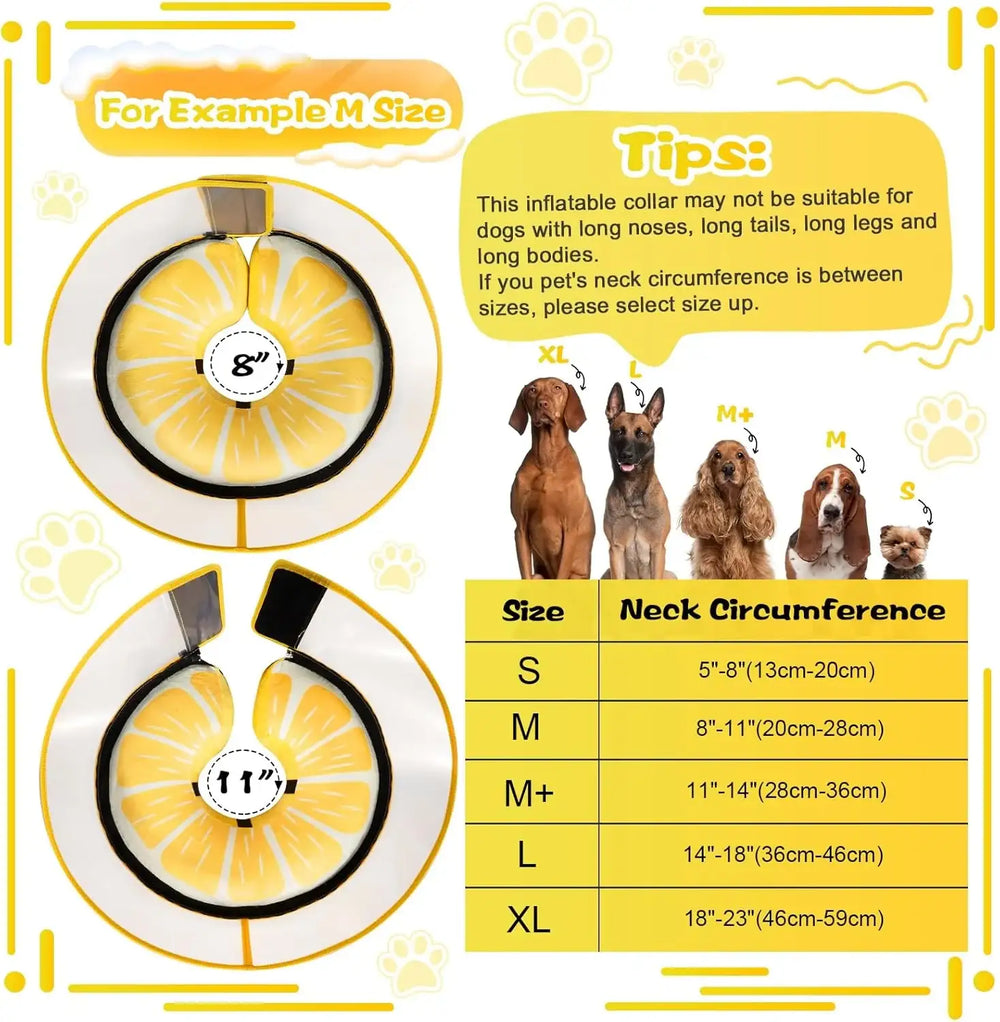 CNEO - Cneo Inflatable Dog Cone Collar with Detachable Enhanced Anti-Licking Shield LEMON LARGE - The Red Vitamin MX - Collares y Conos De Recuperación Para Perros - {{ shop.shopifyCountryName }}