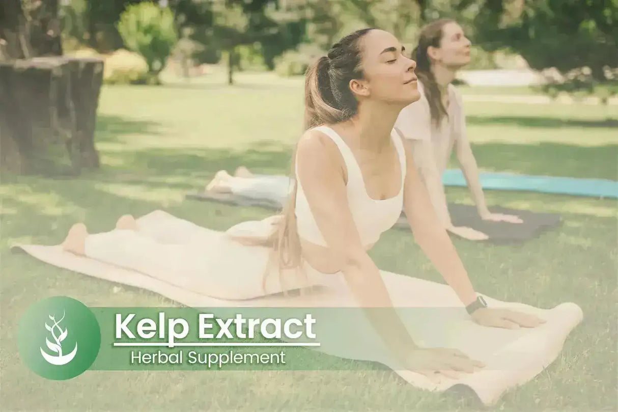 PURE ORIGINAL INGREDIENTS - Pure Original Ingredients Kelp Extract 100 Capsulas - The Red Vitamin MX - Suplementos Alimenticios - {{ shop.shopifyCountryName }}