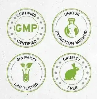 SECRETS OF THE TRIBE - Secrets of the Tribe Pumpkin Seed Tincture Alcohol-Free Extract 2 Fl.Oz. - The Red Vitamin MX - Suplementos Alimenticios - {{ shop.shopifyCountryName }}