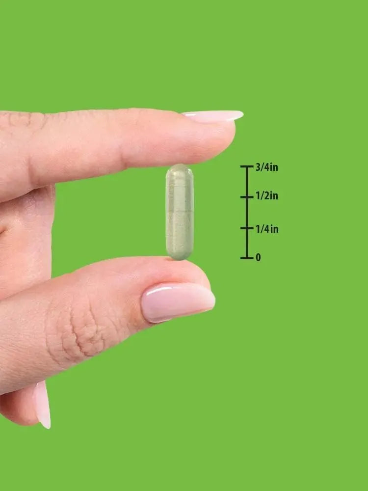 NATURE'S TRUTH - Nature's Truth Echinacea Extract 1300Mg. 100 Capsulas - The Red Vitamin MX - Suplementos Alimenticios - {{ shop.shopifyCountryName }}